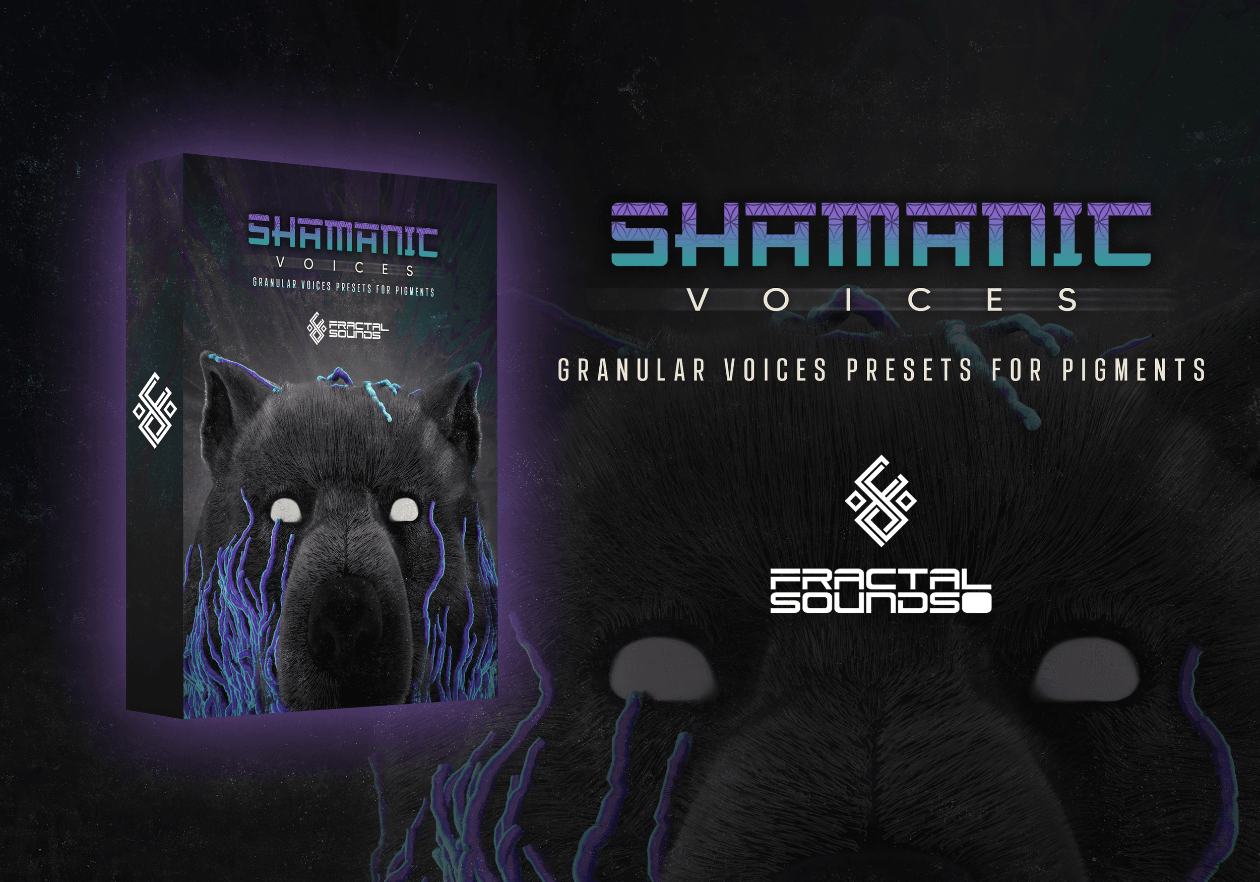 Shamanic Voices cover