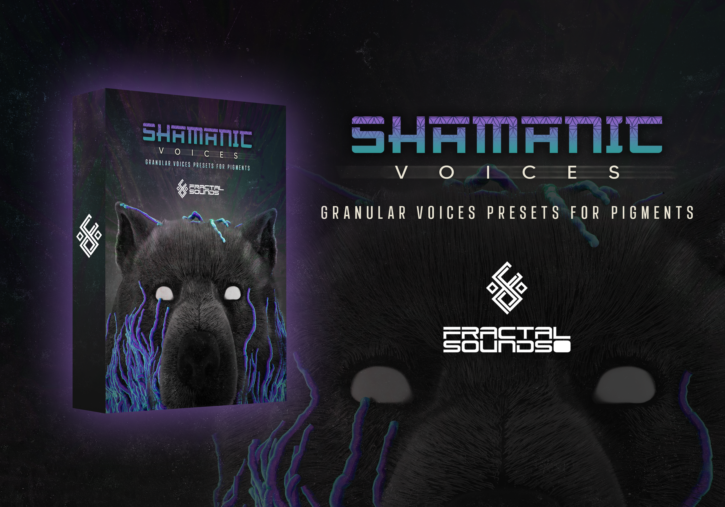 Shamanic Voices cover