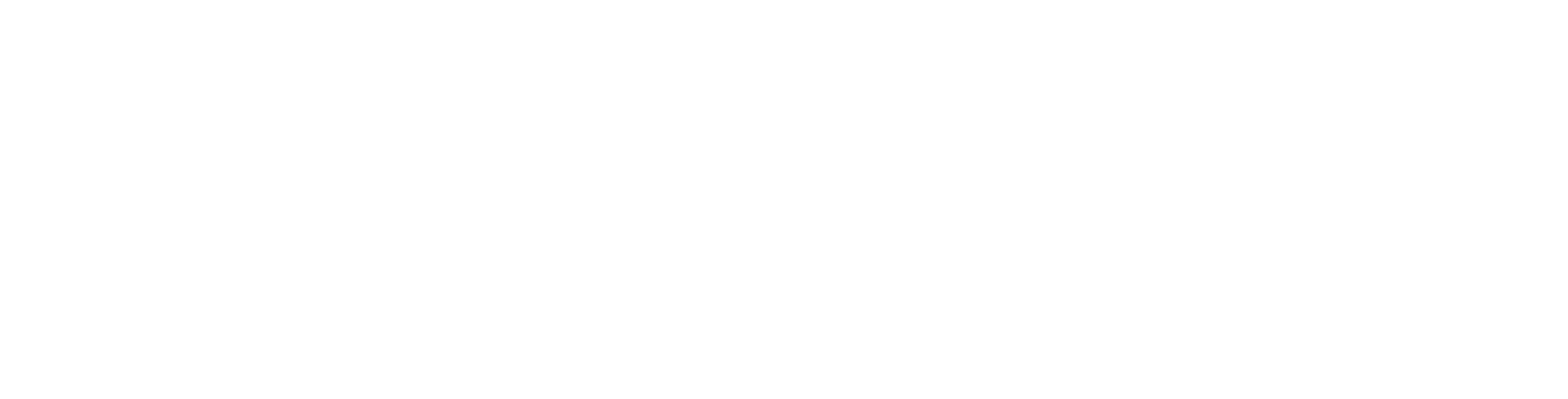 Fractal Core